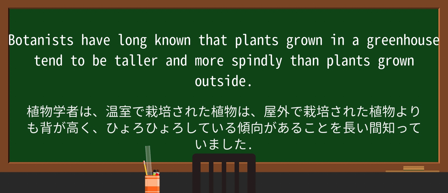 【英単語】spindlyを徹底解説!意味、使い方、例文、読み方 ・例文3