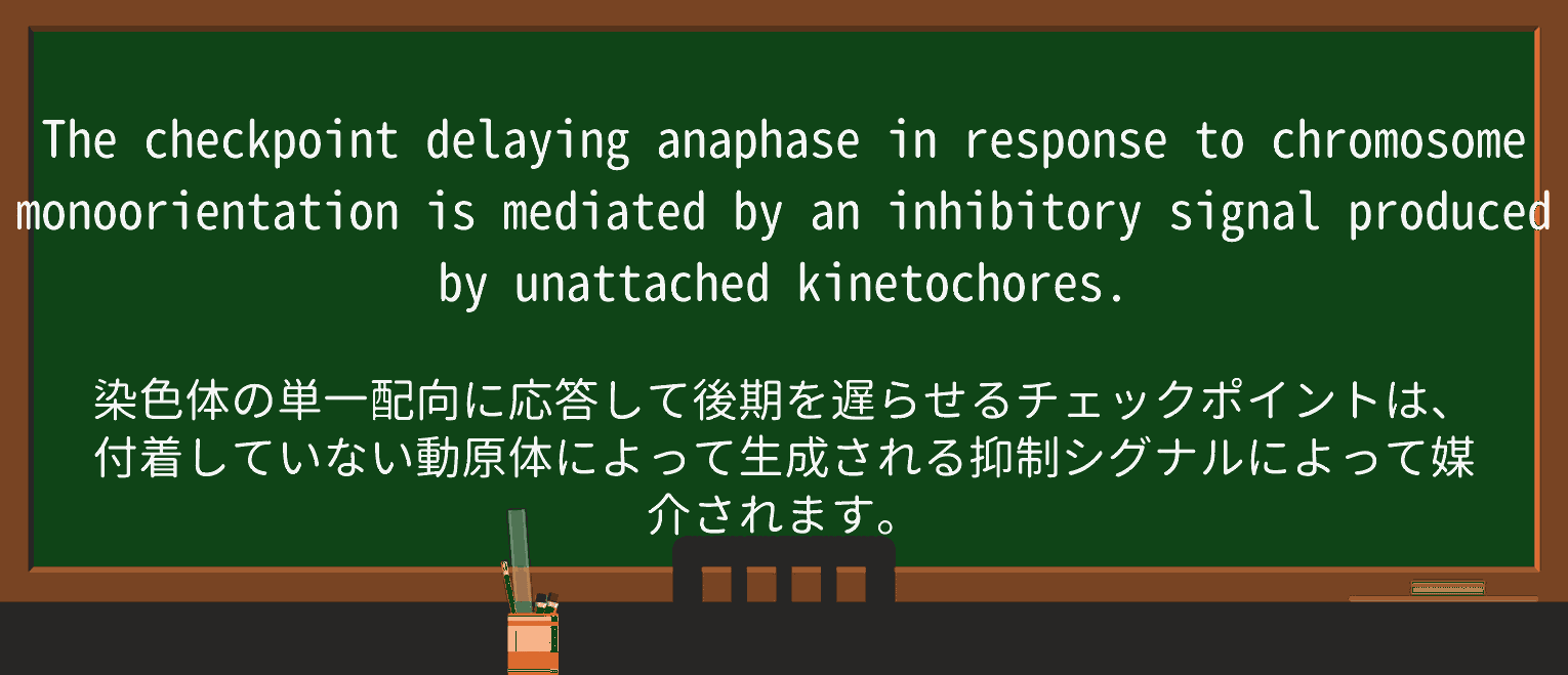 【英単語】unattachedを徹底解説!意味、使い方、例文、読み方 ・例文3