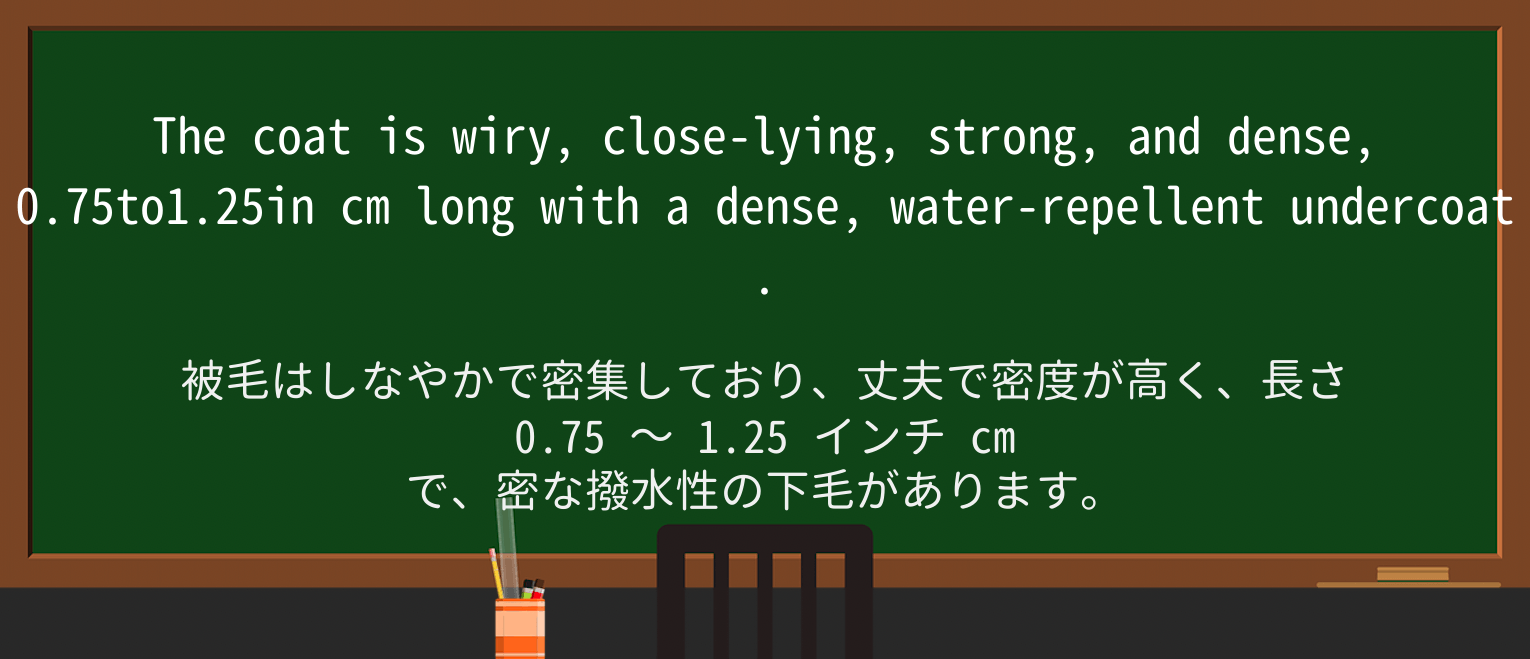 【英単語】undercoatを徹底解説!意味、使い方、例文、読み方 ・例文4