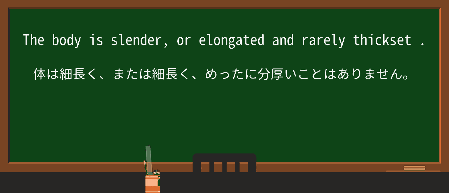 【英単語】thicksetを徹底解説!意味、使い方、例文、読み方 ・例文3