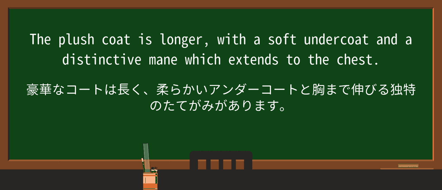 【英単語】undercoatを徹底解説!意味、使い方、例文、読み方 ・例文3