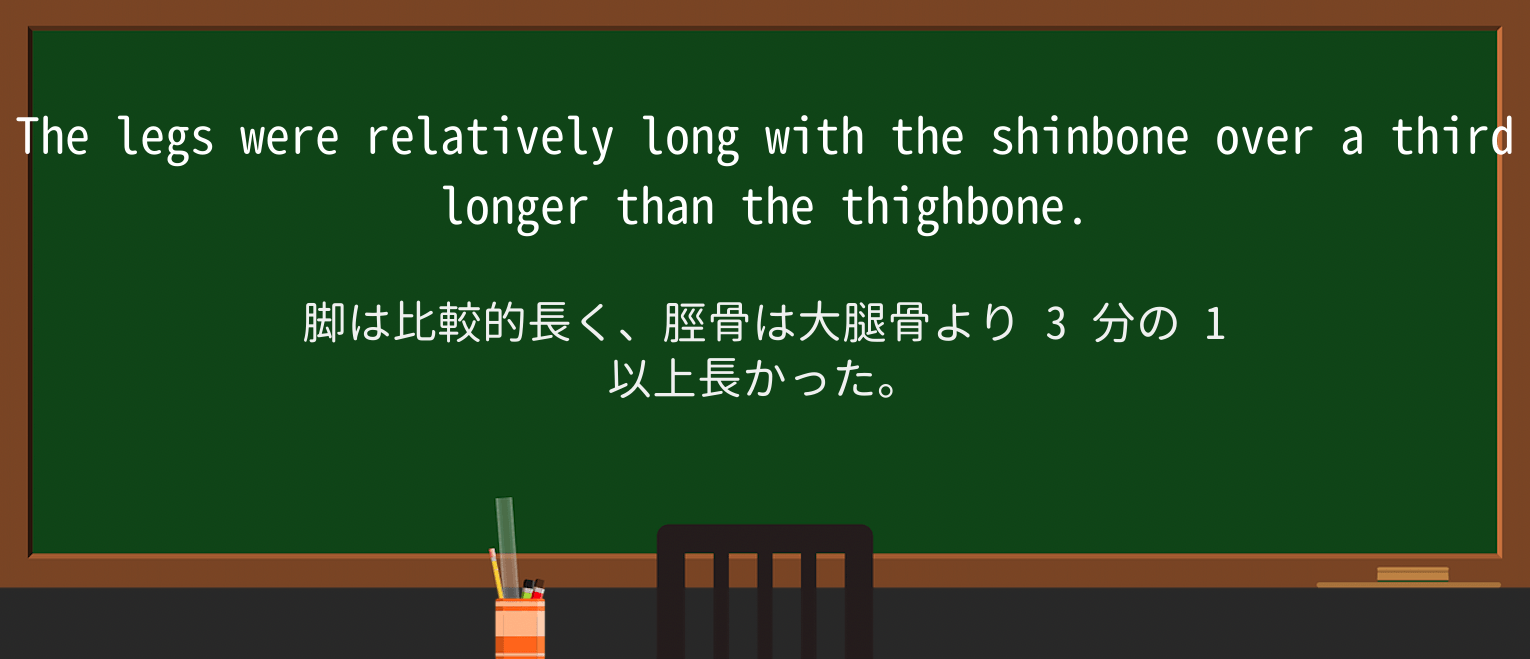 【英単語】shinboneを徹底解説!意味、使い方、例文、読み方 ・例文3