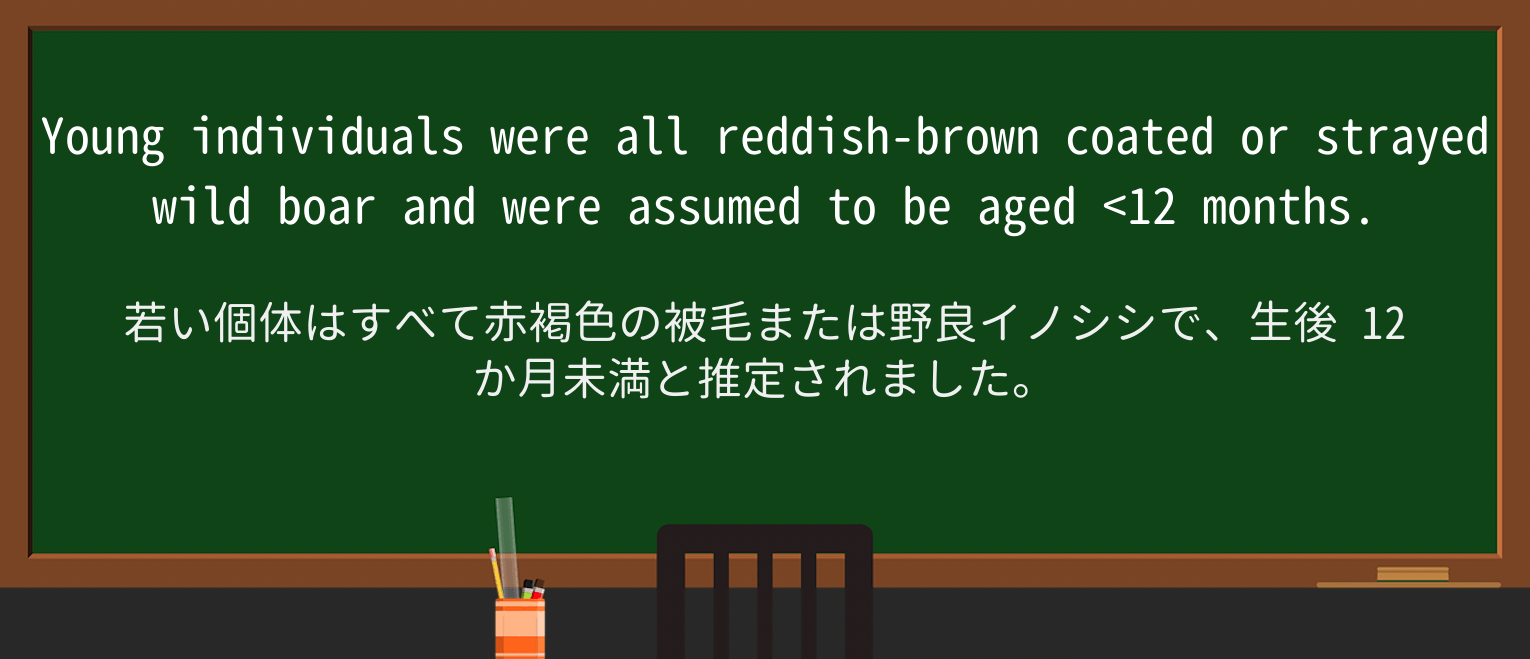 【英単語】wild-boarを徹底解説!意味、使い方、例文、読み方 ・例文1