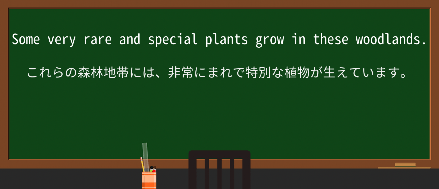 【英単語】woodlandを徹底解説!意味、使い方、例文、読み方 ・例文1