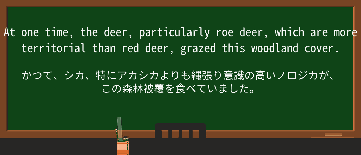 【英単語】roeを徹底解説!意味、使い方、例文、読み方 ・例文3