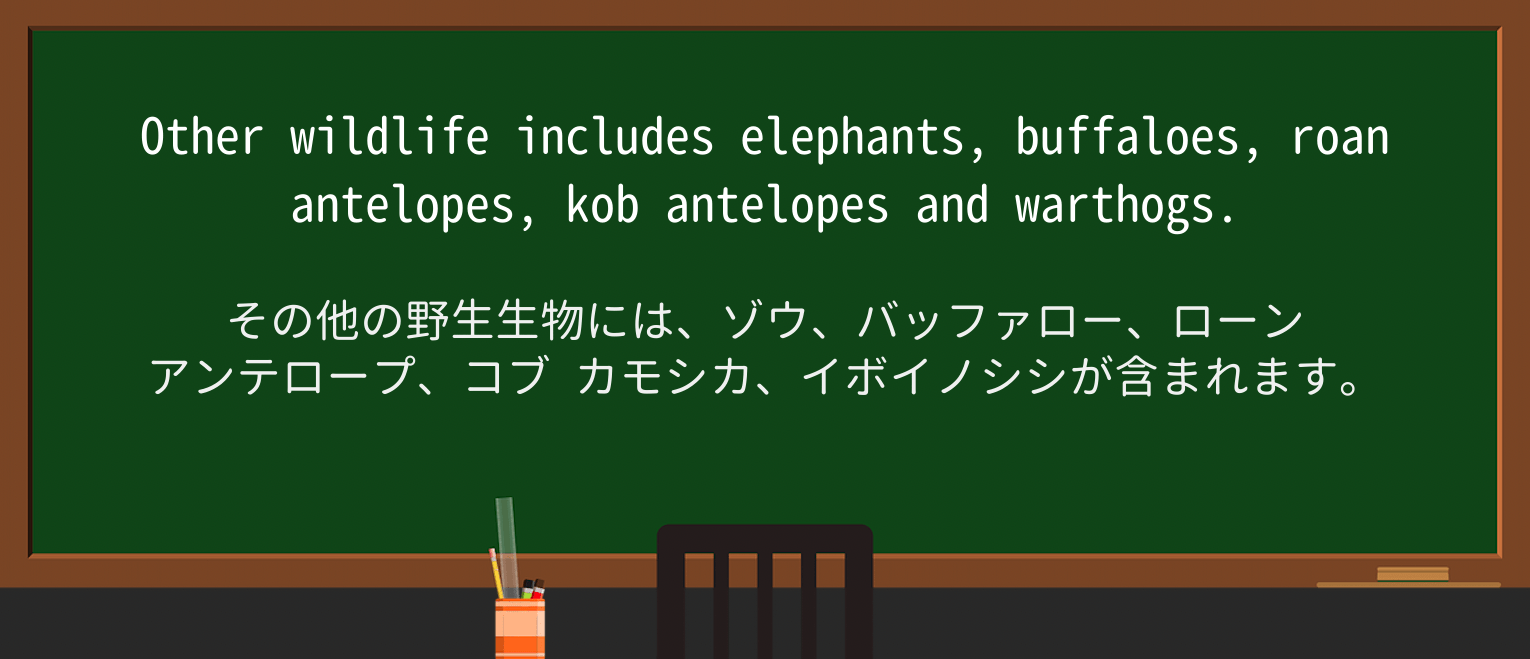 【英単語】warthogを徹底解説!意味、使い方、例文、読み方 ・例文3