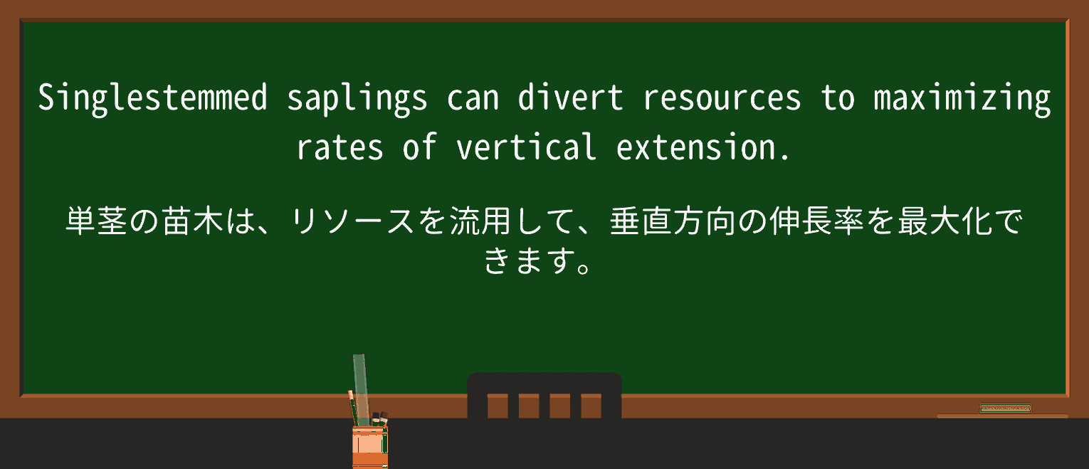 【英単語】saplingを徹底解説!意味、使い方、例文、読み方 ・例文1