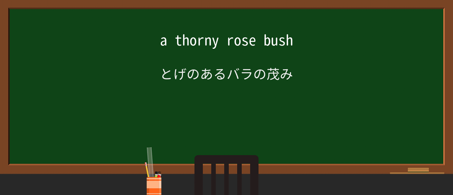 【英単語】thornyを徹底解説!意味、使い方、例文、読み方 ・例文1