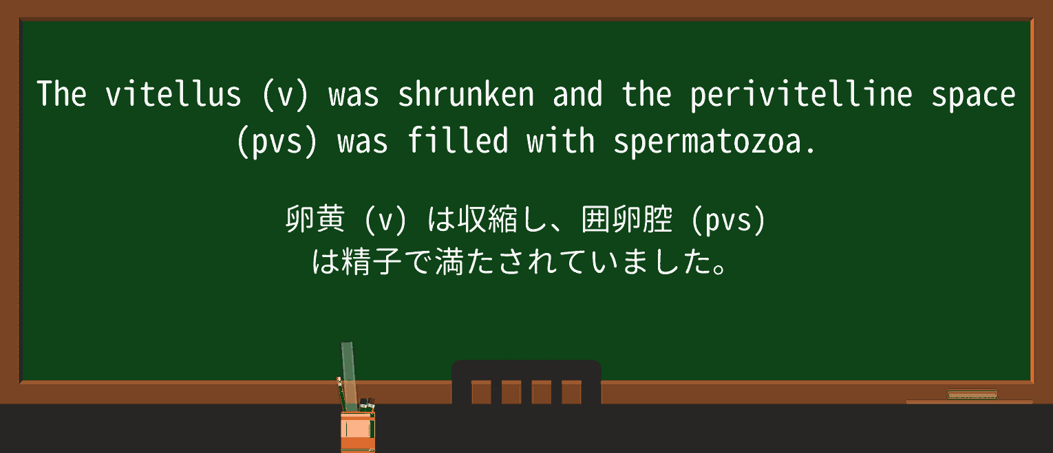 【英単語】shrunkenを徹底解説!意味、使い方、例文、読み方 ・例文3