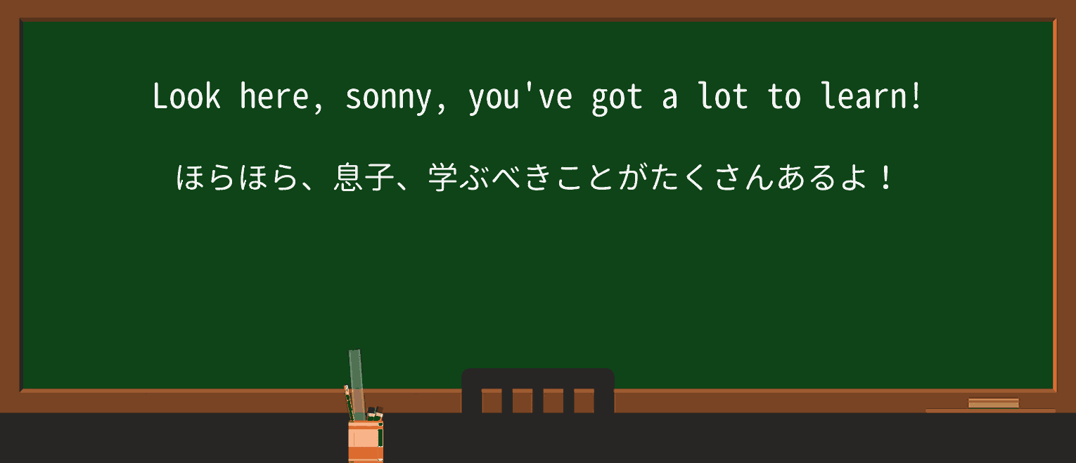 【英単語】sonnyを徹底解説!意味、使い方、例文、読み方 ・例文1