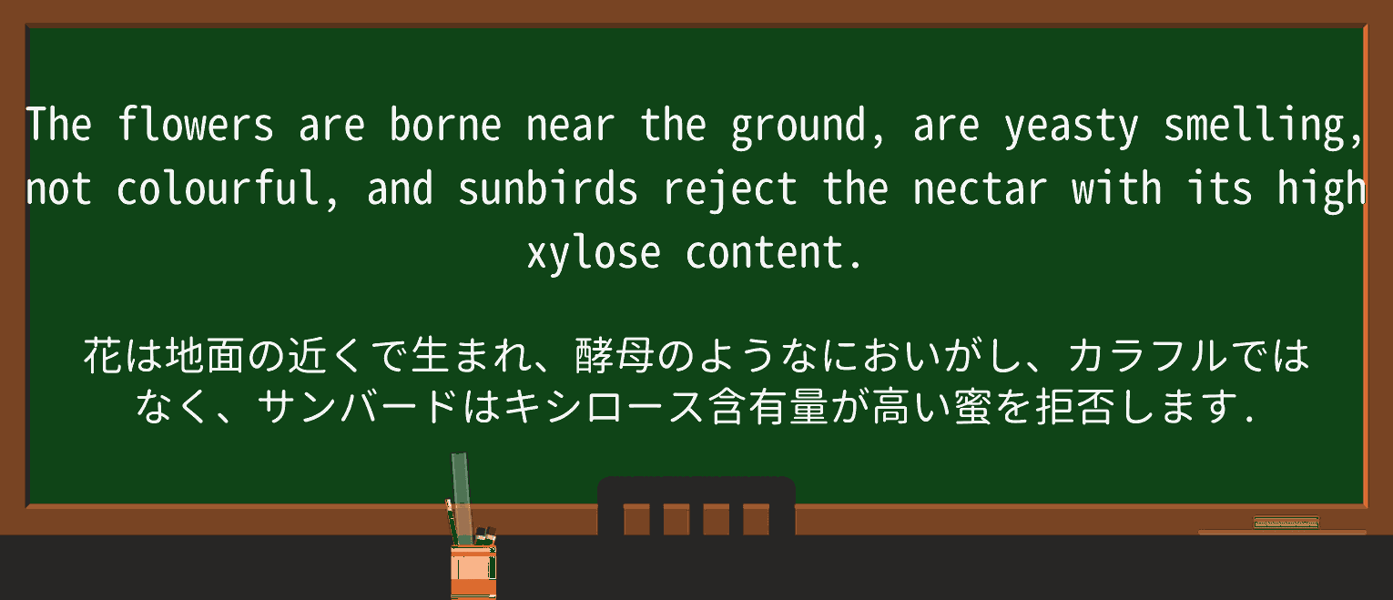 【英単語】yeastyを徹底解説!意味、使い方、例文、読み方 ・例文2