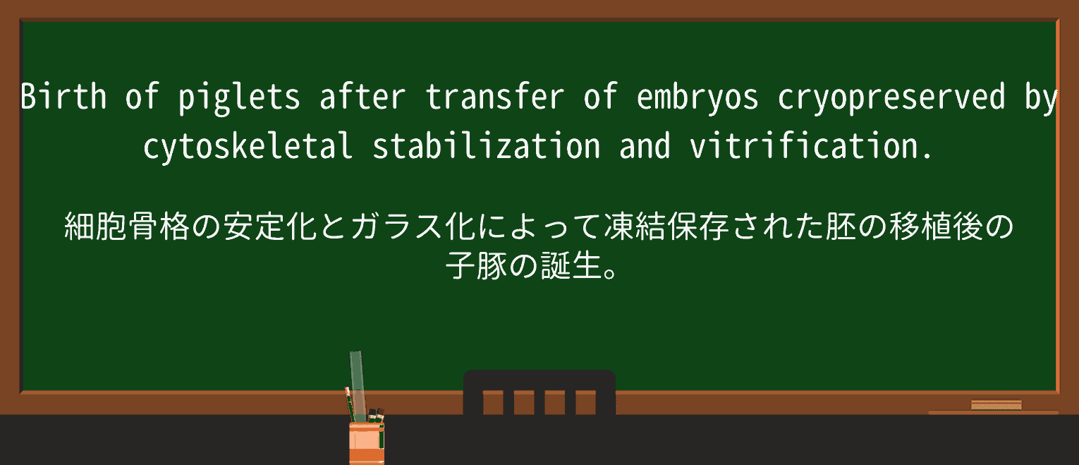 【英単語】stabilizationを徹底解説!意味、使い方、例文、読み方 ・例文4