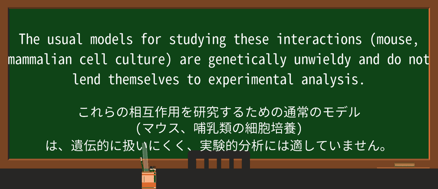 【英単語】unwieldyを徹底解説!意味、使い方、例文、読み方 ・例文4