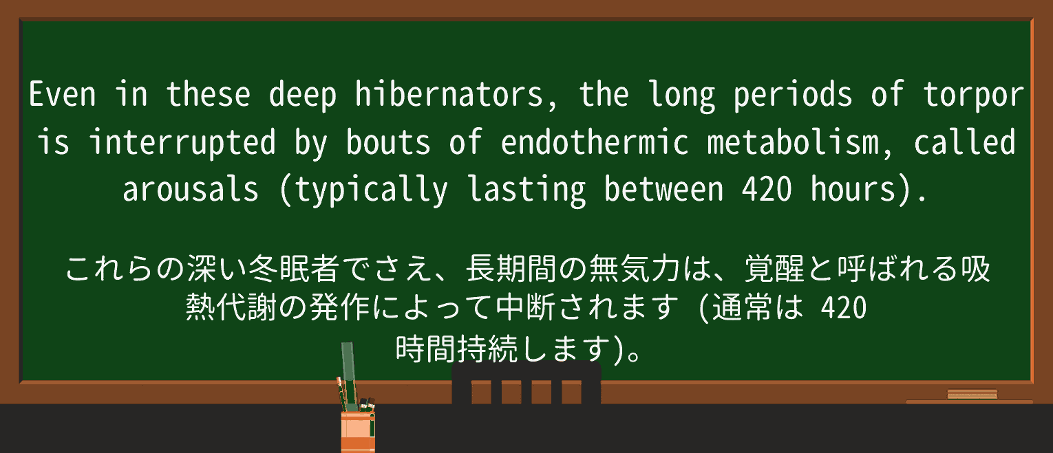 【英単語】torporを徹底解説!意味、使い方、例文、読み方 ・例文3