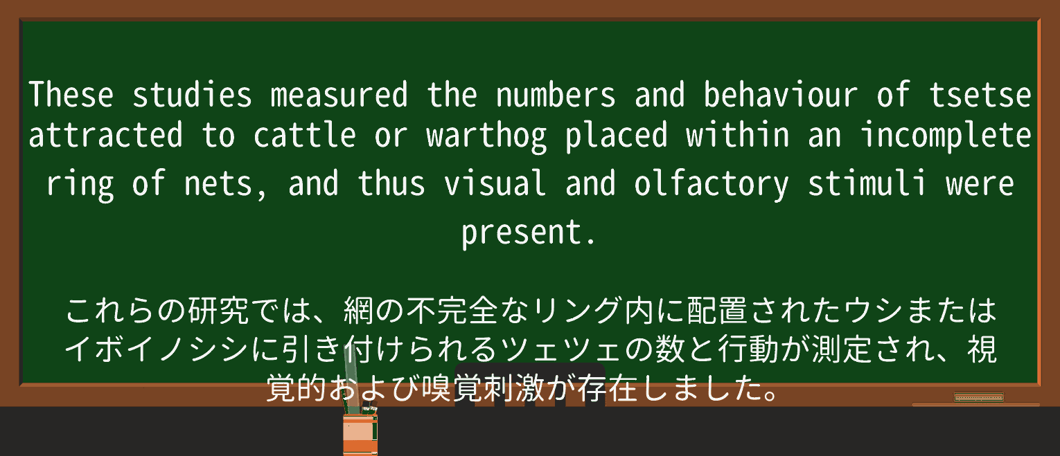 【英単語】warthogを徹底解説!意味、使い方、例文、読み方 ・例文1