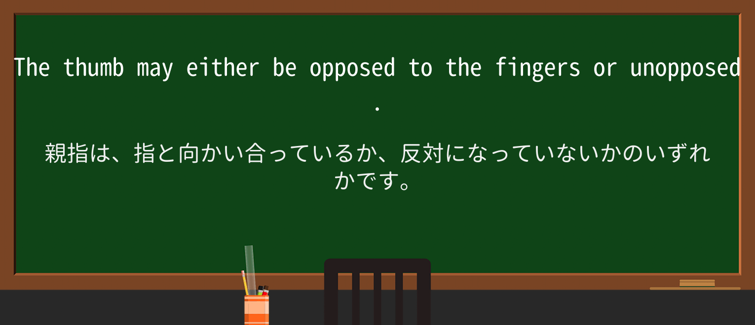 【英単語】unopposedを徹底解説!意味、使い方、例文、読み方 ・例文2