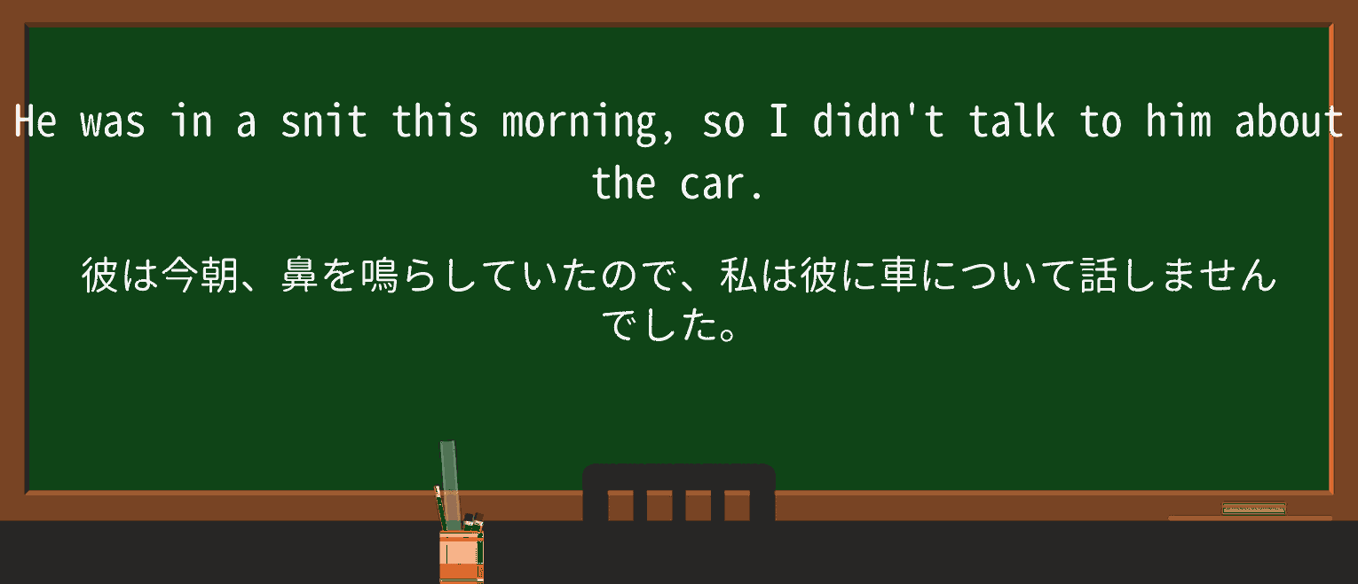 【英単語】snitを徹底解説!意味、使い方、例文、読み方 ・例文1