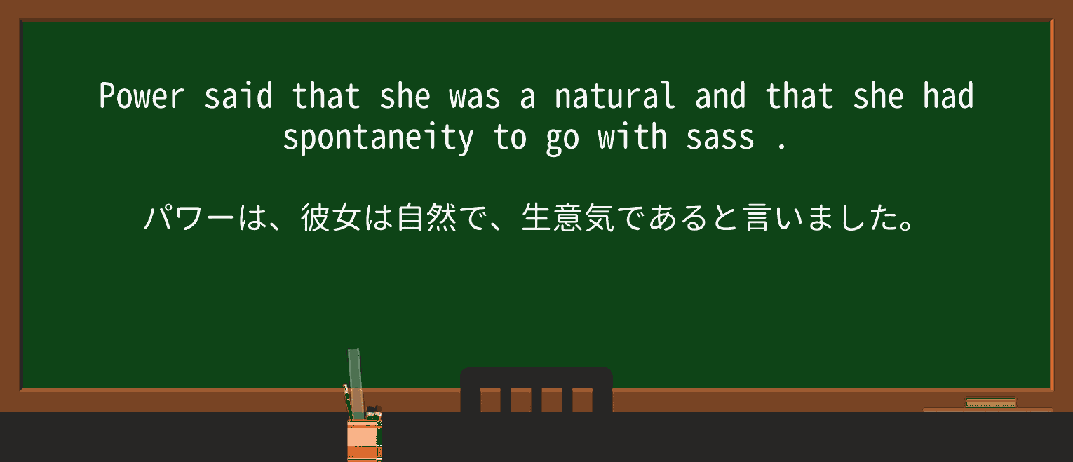 【英単語】sassを徹底解説!意味、使い方、例文、読み方 ・例文3