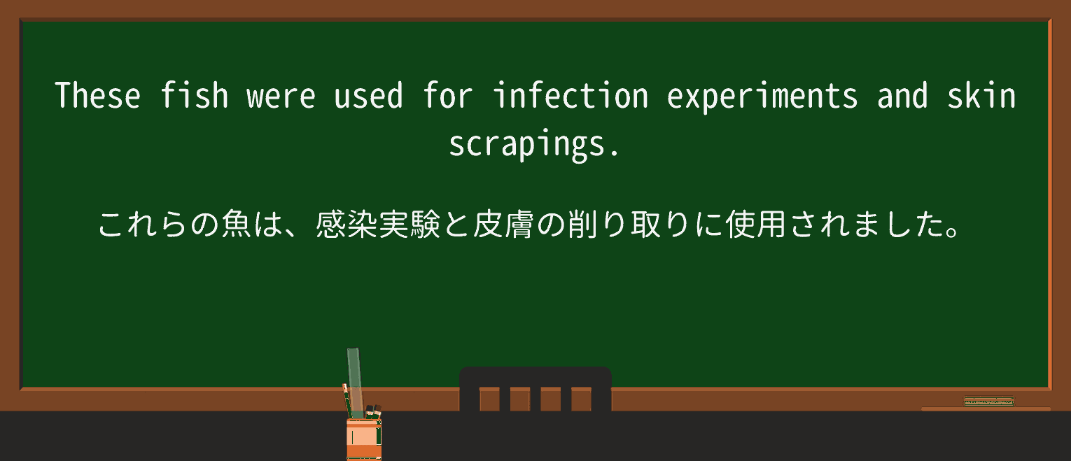 【英単語】scrapingを徹底解説!意味、使い方、例文、読み方 ・例文3