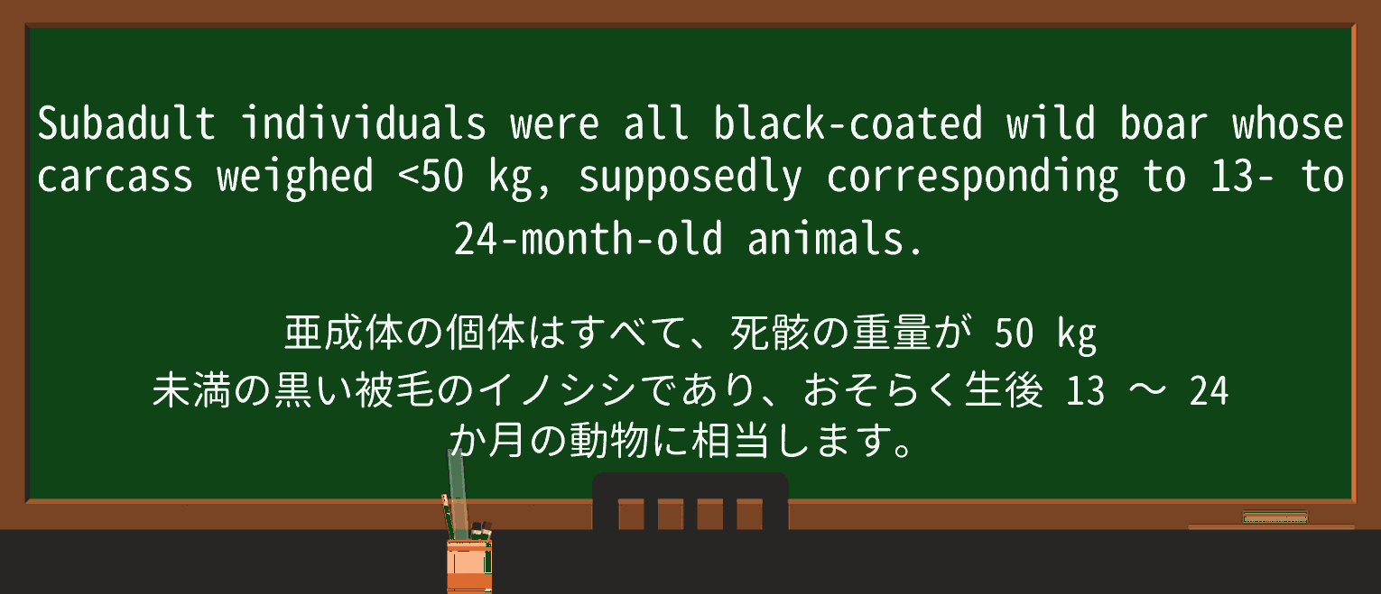 【英単語】supposedlyを徹底解説!意味、使い方、例文、読み方 ・例文3