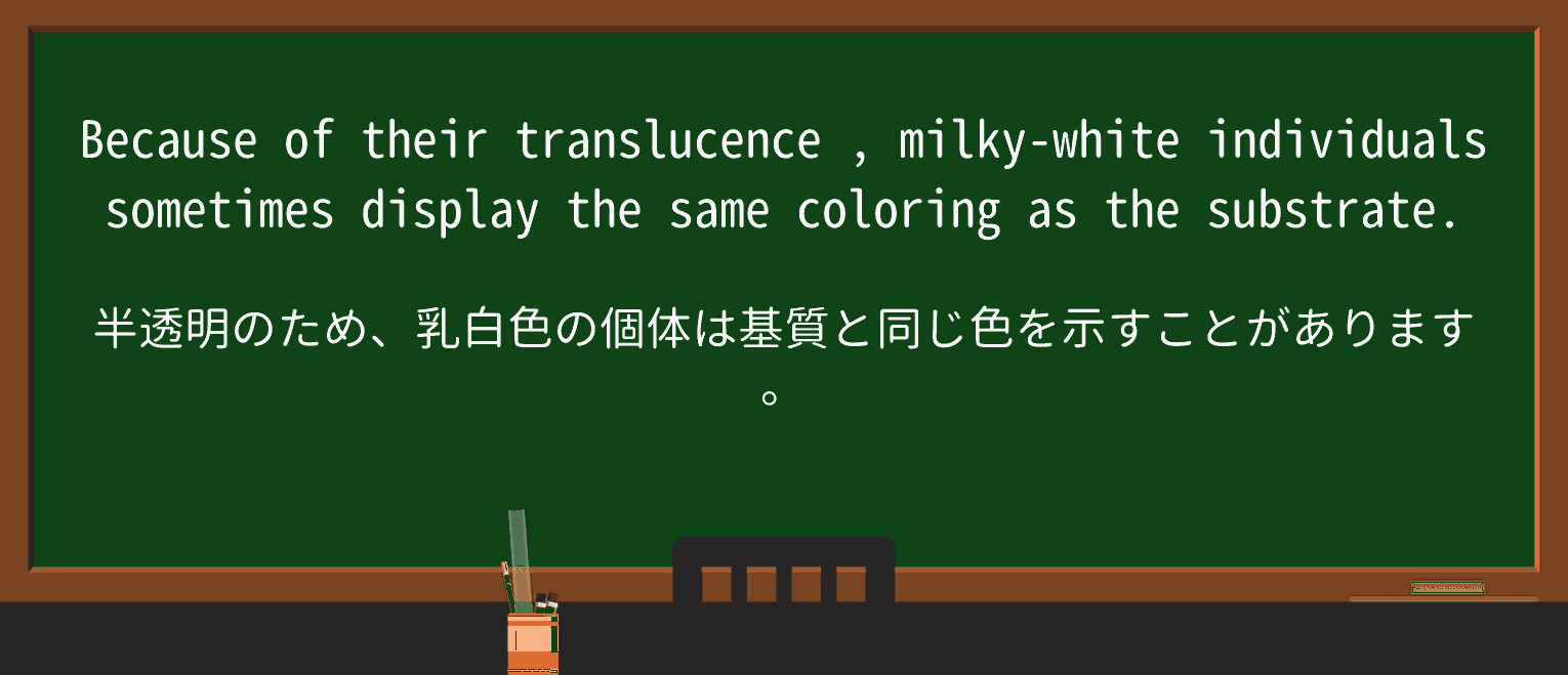 【英単語】translucenceを徹底解説!意味、使い方、例文、読み方 ・例文2