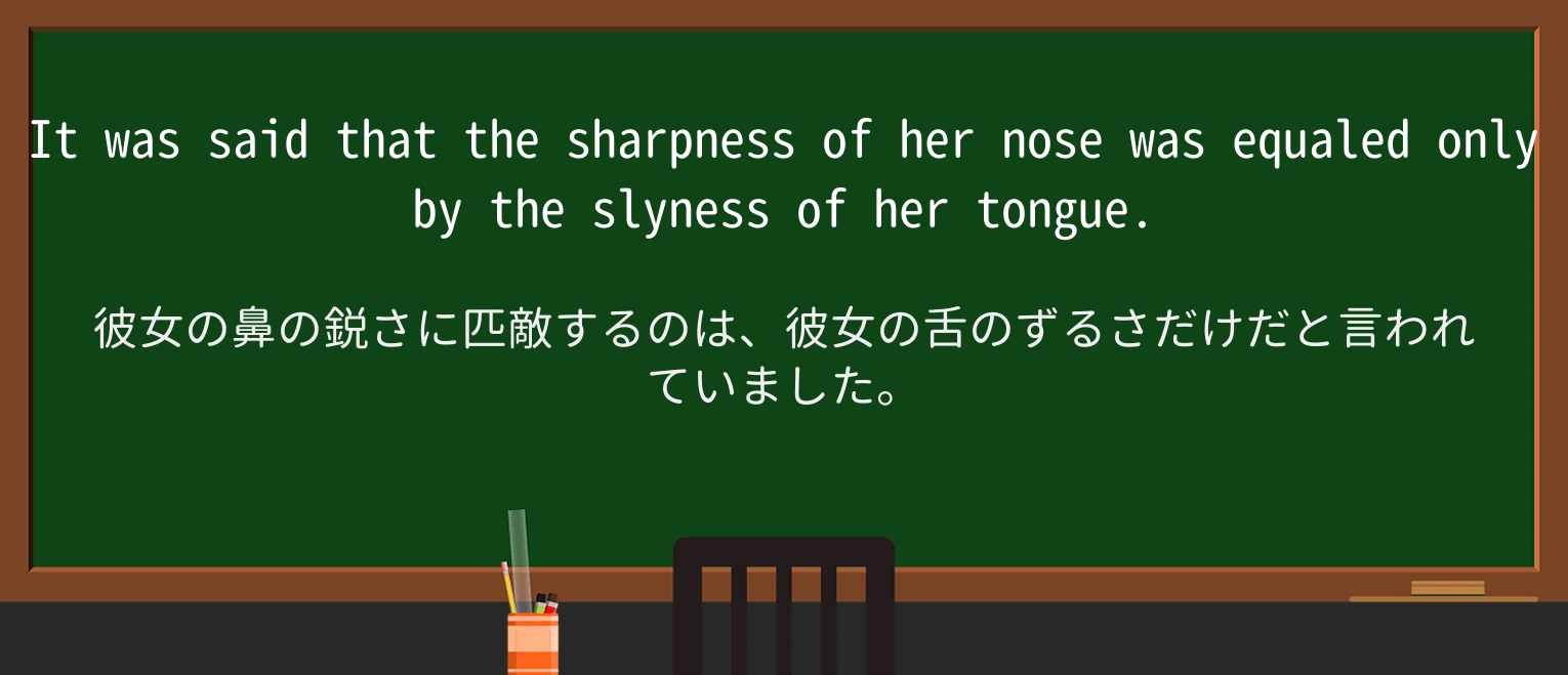 【英単語】slynessを徹底解説!意味、使い方、例文、読み方 ・例文2