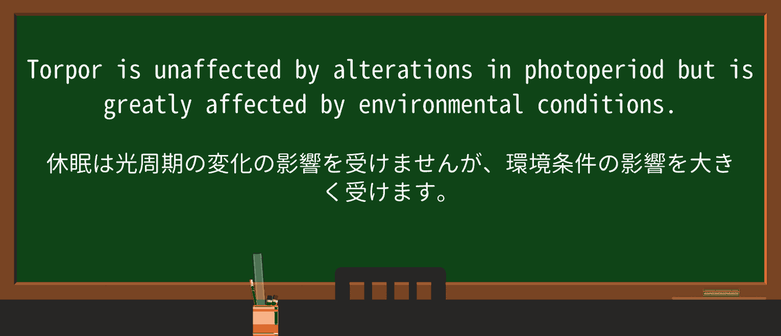 【英単語】torporを徹底解説!意味、使い方、例文、読み方 ・例文2