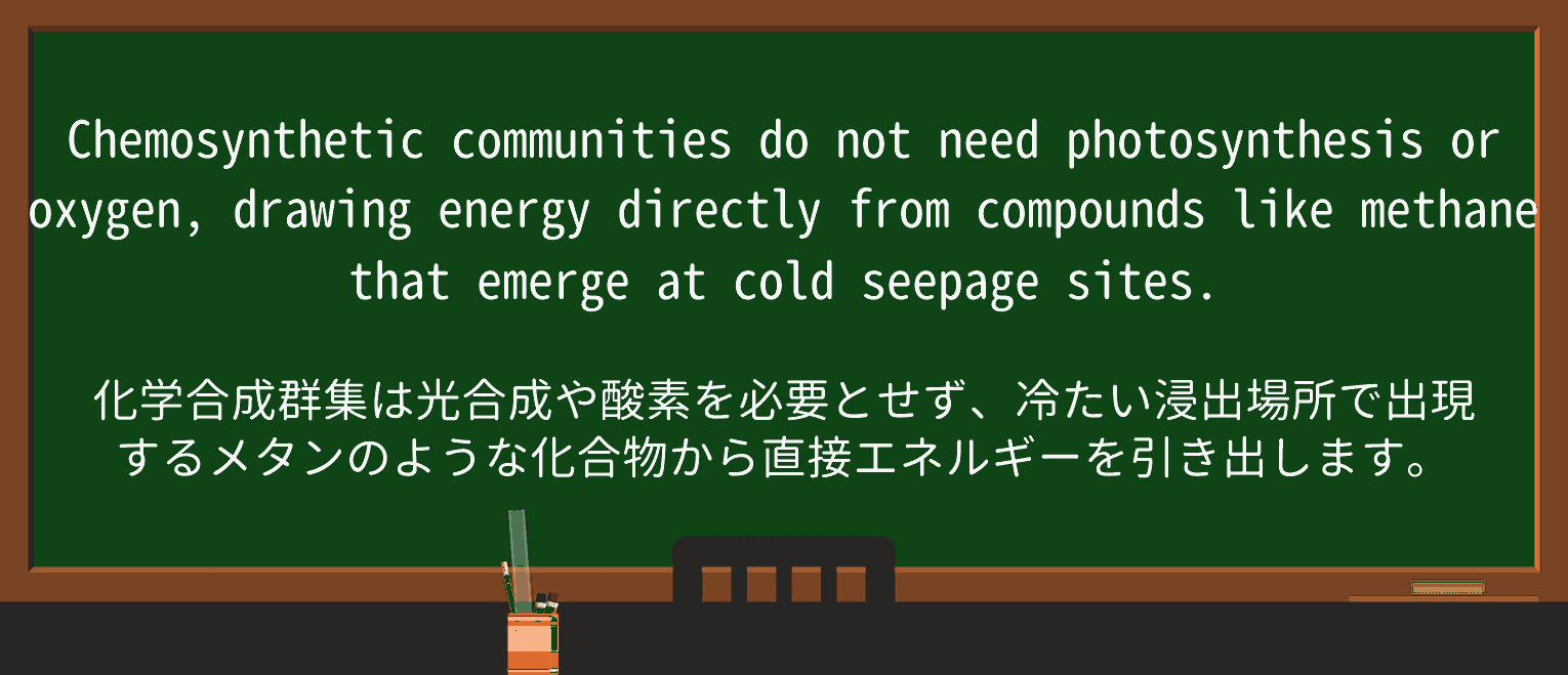 【英単語】seepageを徹底解説!意味、使い方、例文、読み方 ・例文4