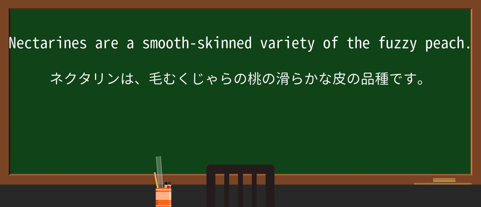 【英単語】skinnedを徹底解説!意味、使い方、例文、読み方 ・例文1