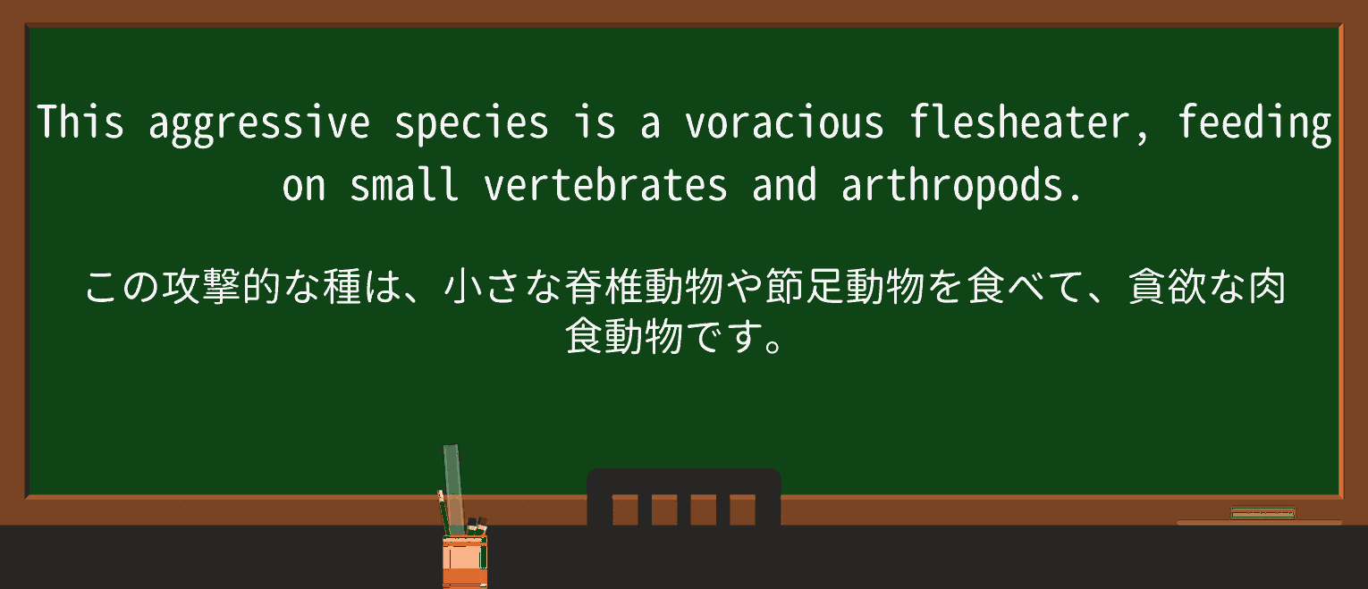 【英単語】voraciousを徹底解説!意味、使い方、例文、読み方 ・例文3