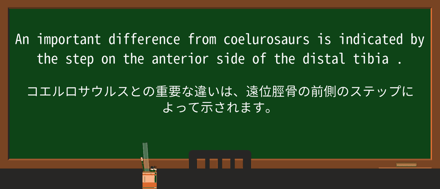 【英単語】tibiaを徹底解説!意味、使い方、例文、読み方 ・例文1