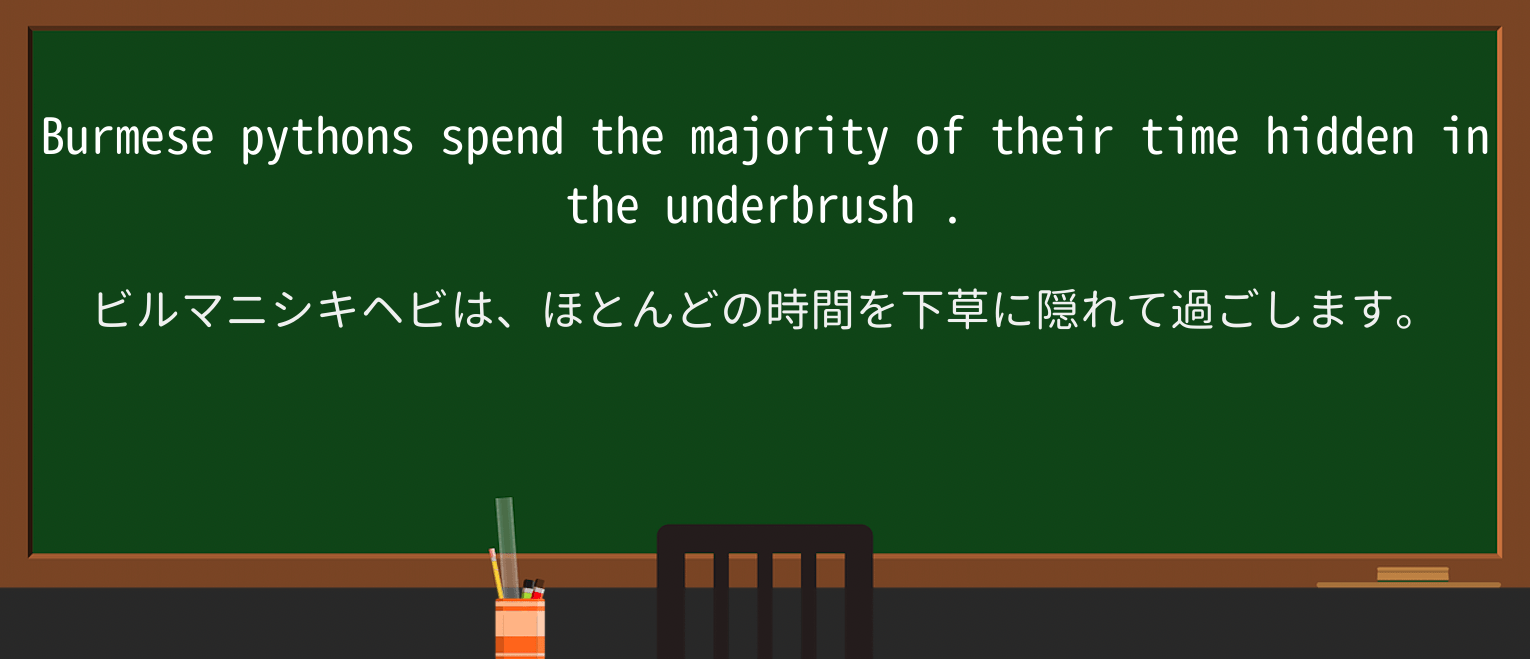 【英単語】underbrushを徹底解説!意味、使い方、例文、読み方 ・例文3