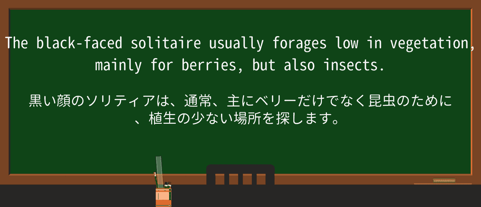 【英単語】solitaireを徹底解説!意味、使い方、例文、読み方 ・例文2