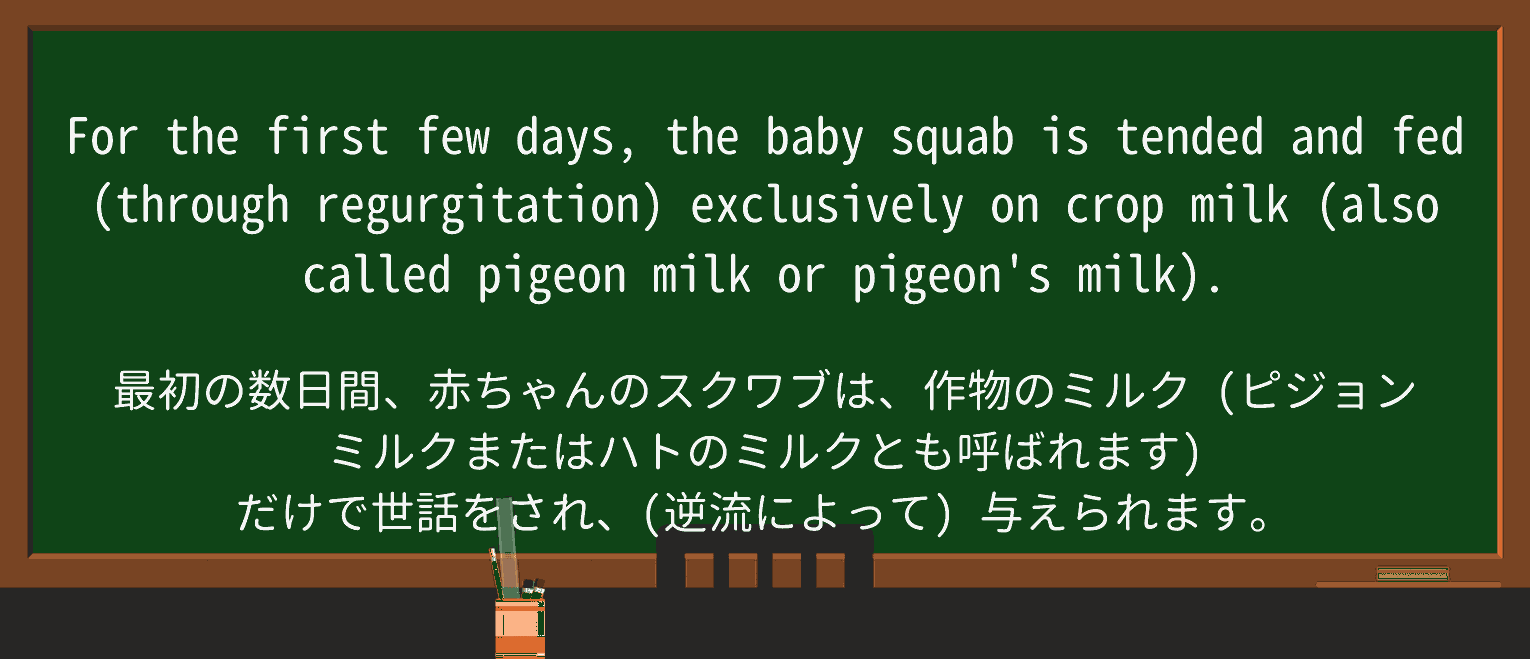 【英単語】squabを徹底解説!意味、使い方、例文、読み方 ・例文1