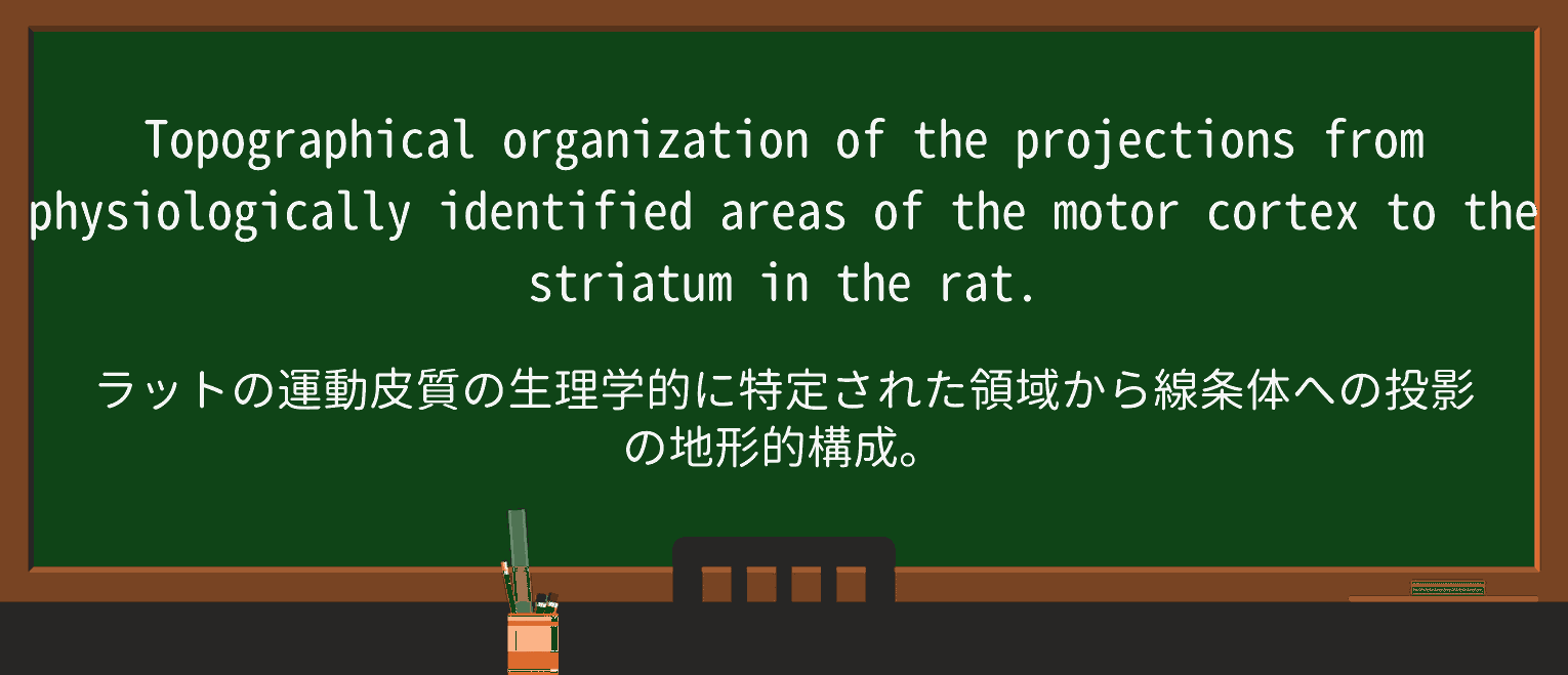 【英単語】topographicalを徹底解説!意味、使い方、例文、読み方 ・例文2