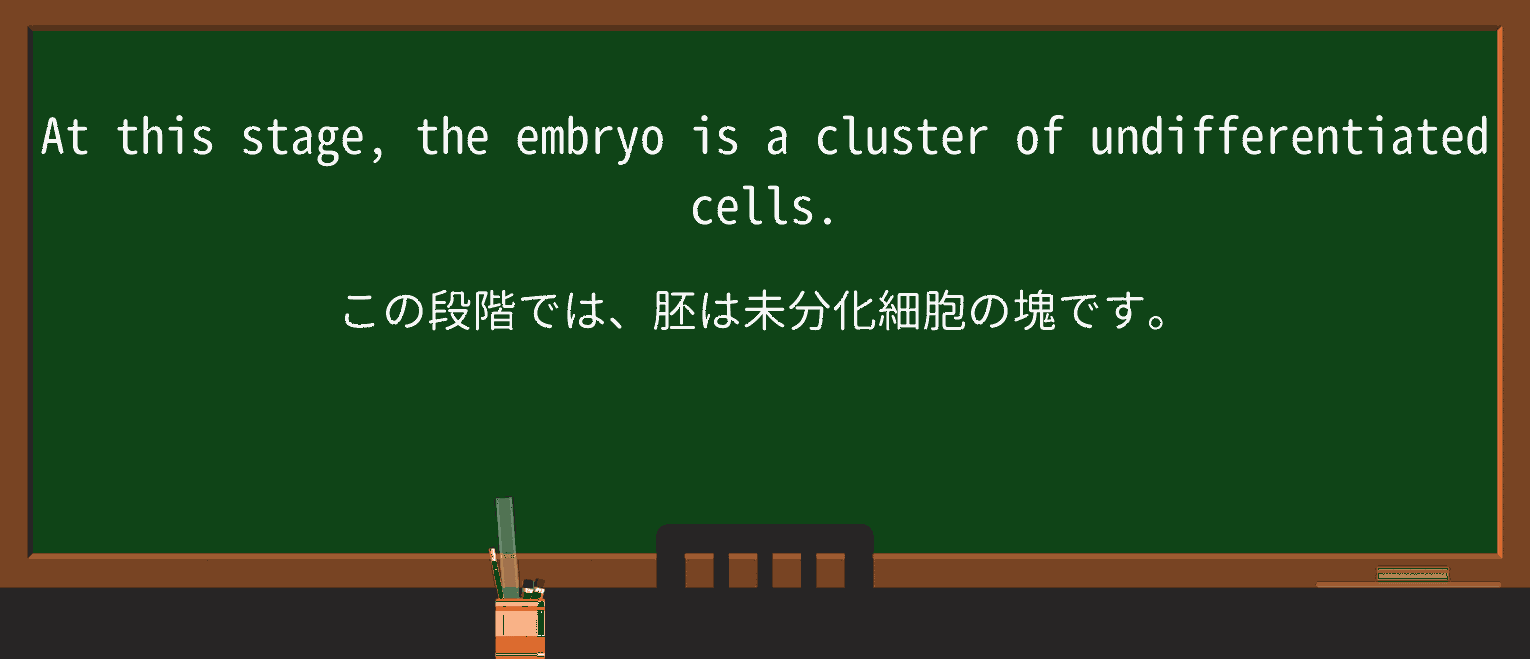 【英単語】undifferentiatedを徹底解説!意味、使い方、例文、読み方 ・例文1