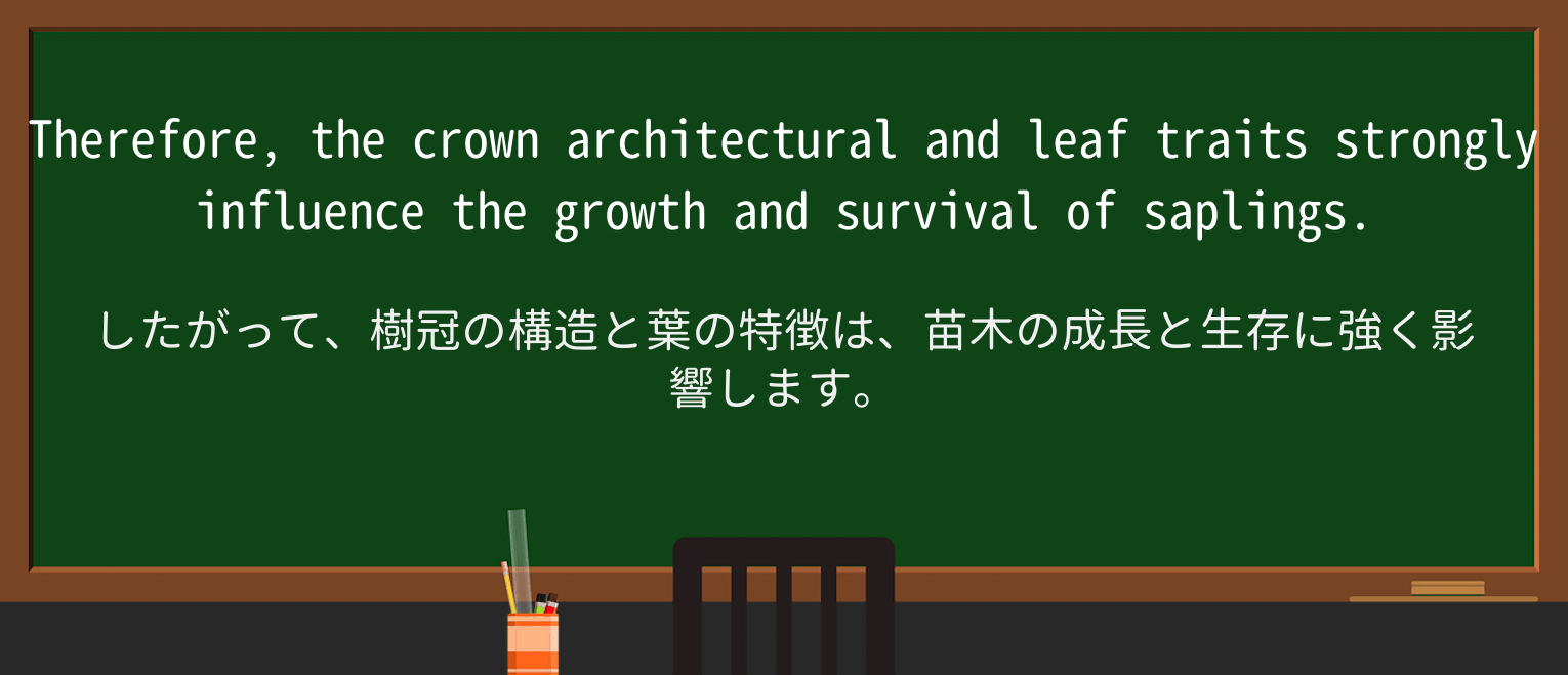 【英単語】saplingを徹底解説!意味、使い方、例文、読み方 ・例文3