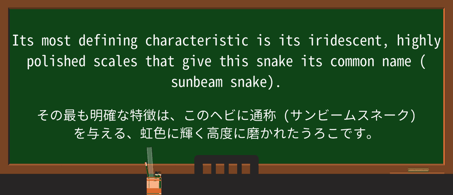 【英単語】sunbeamを徹底解説!意味、使い方、例文、読み方 ・例文2
