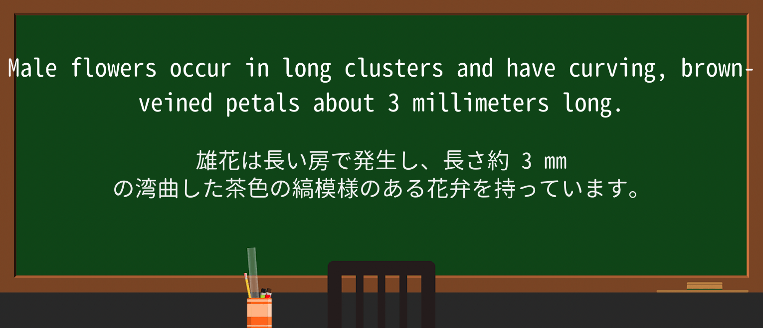 【英単語】veinedを徹底解説!意味、使い方、例文、読み方 ・例文3