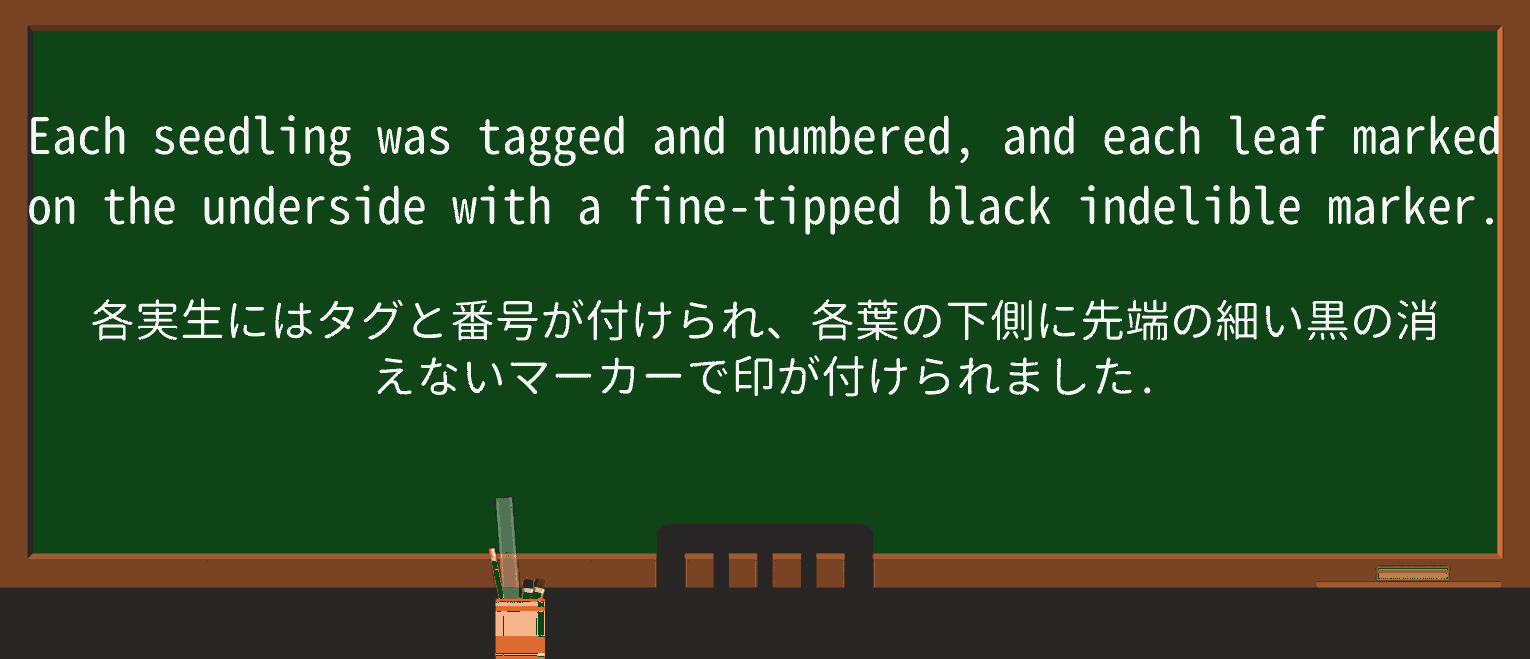 【英単語】undersideを徹底解説!意味、使い方、例文、読み方 ・例文4