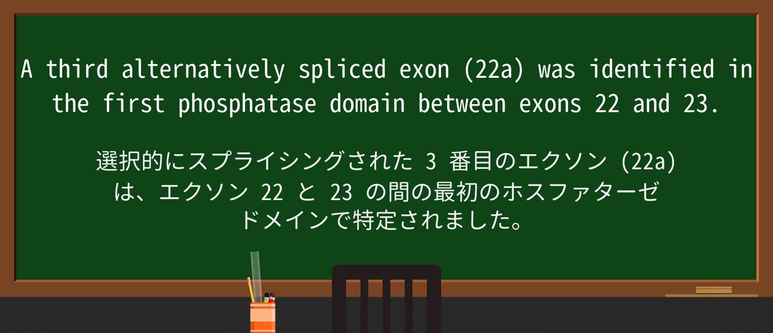 【英単語】spliceを徹底解説!意味、使い方、例文、読み方 ・例文2