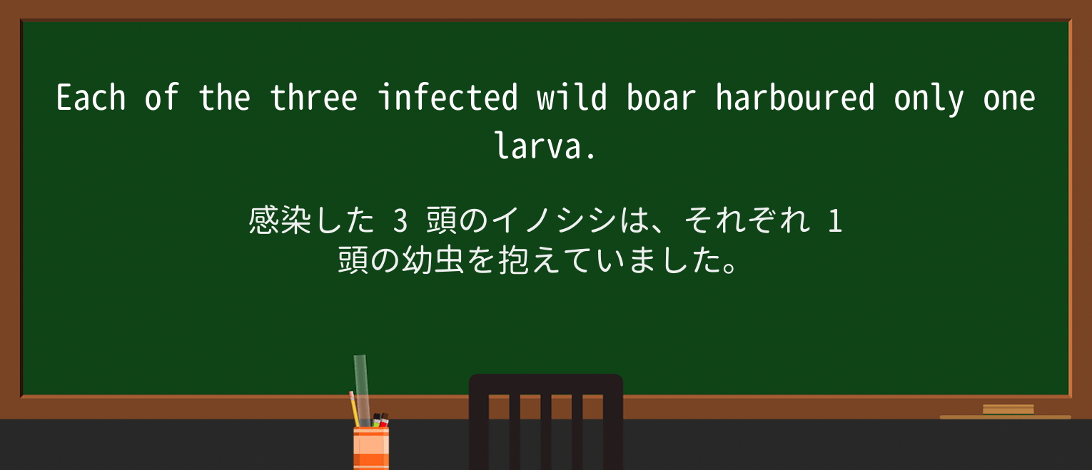 【英単語】wild-boarを徹底解説!意味、使い方、例文、読み方 ・例文3