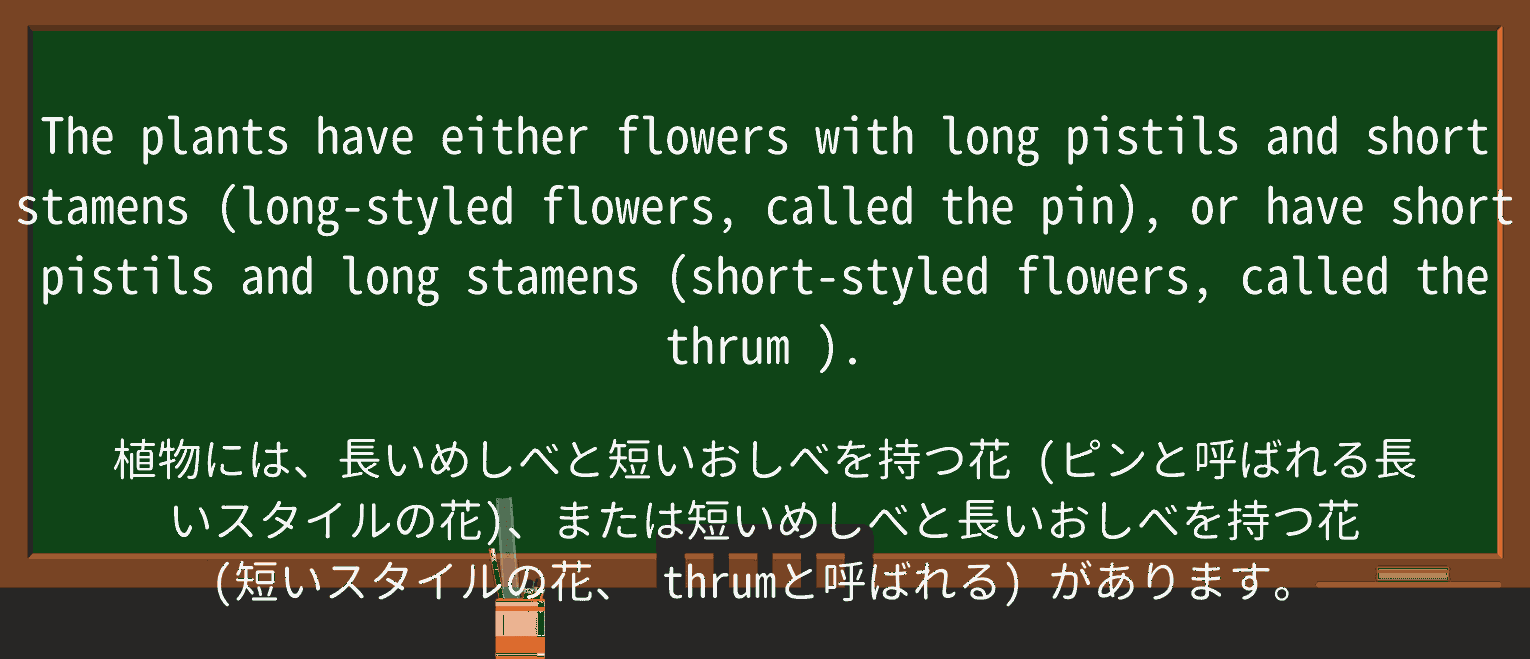 【英単語】thrumを徹底解説!意味、使い方、例文、読み方 ・例文4