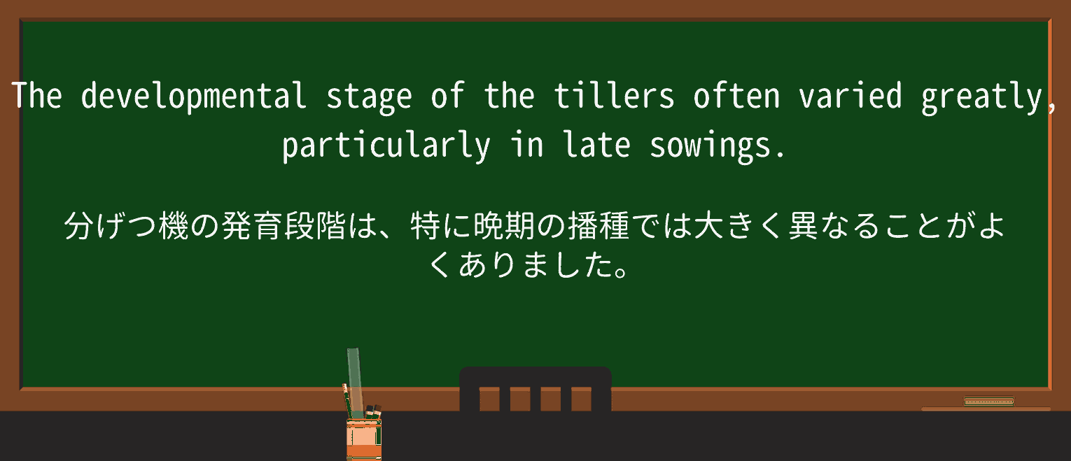 【英単語】tillerを徹底解説!意味、使い方、例文、読み方 ・例文1