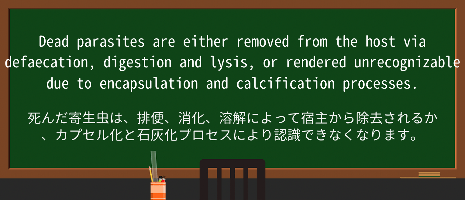 【英単語】unrecognizableを徹底解説!意味、使い方、例文、読み方 ・例文4
