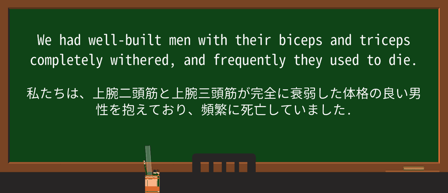 【英単語】tricepsを徹底解説!意味、使い方、例文、読み方 ・例文3