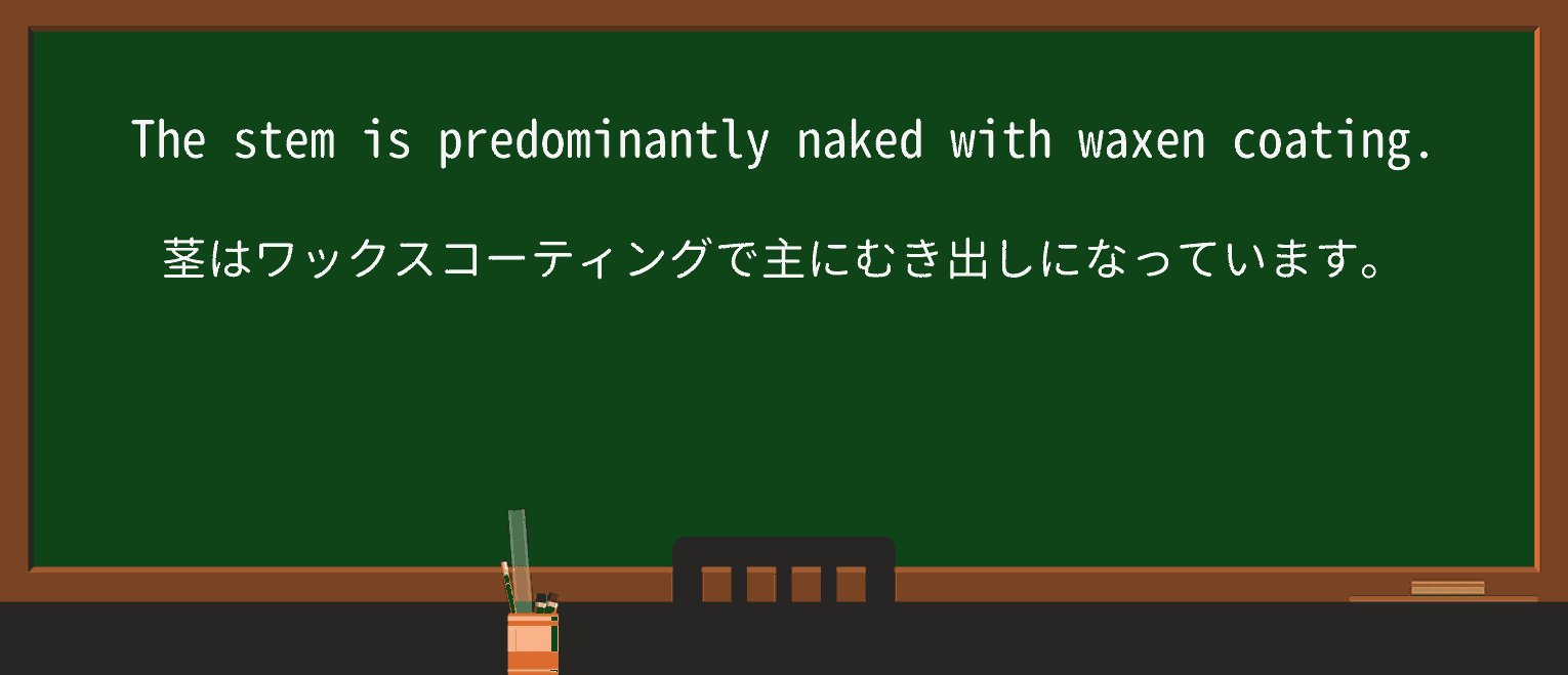 【英単語】waxenを徹底解説!意味、使い方、例文、読み方 ・例文3
