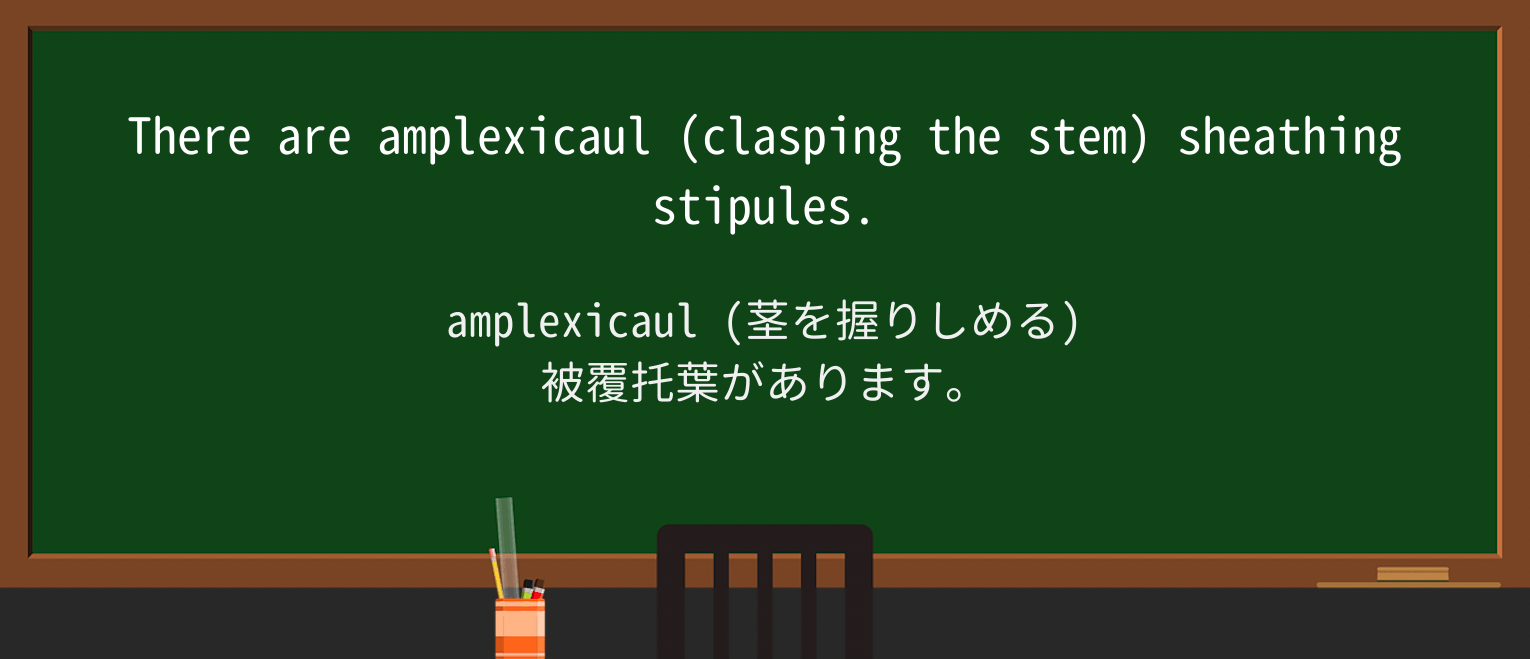 【英単語】sheatheを徹底解説!意味、使い方、例文、読み方 ・例文2