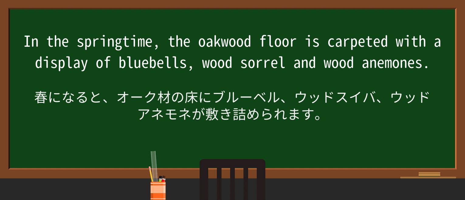 【英単語】sorrelを徹底解説!意味、使い方、例文、読み方 ・例文1