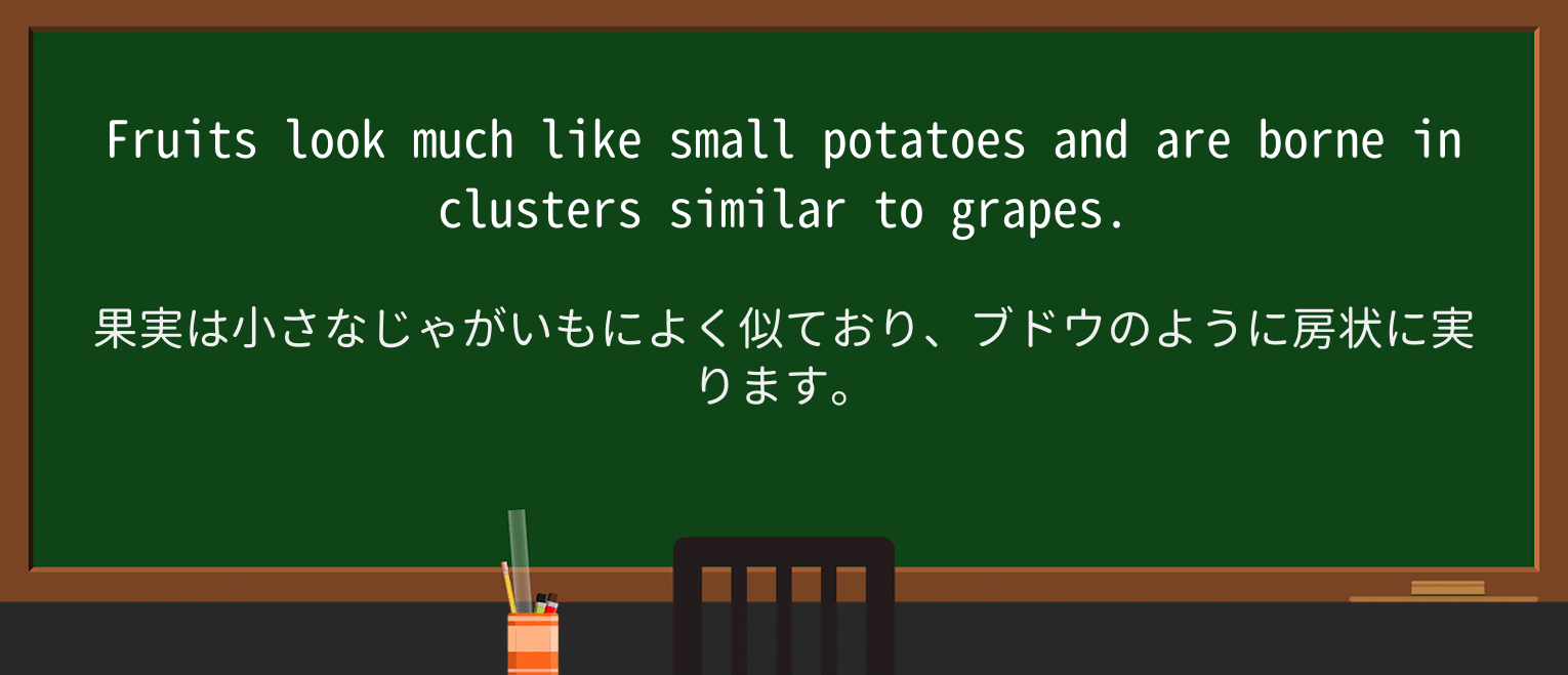 【英単語】small-potatoesを徹底解説!意味、使い方、例文、読み方 ・例文3